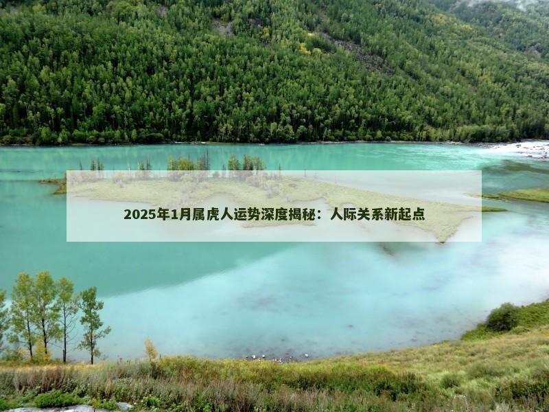 2025年1月属虎人运势深度揭秘:人际关系新起点