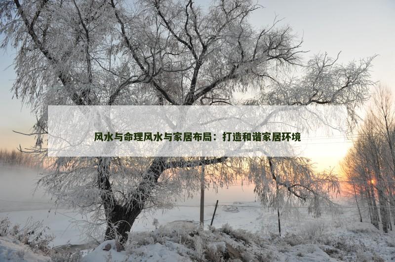 风水与命理风水与家居布局：打造和谐家居环境