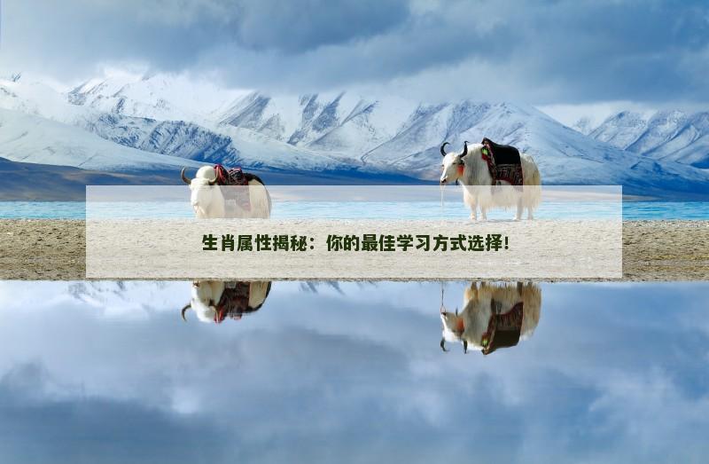 生肖属性揭秘：你的最佳学习方式选择！