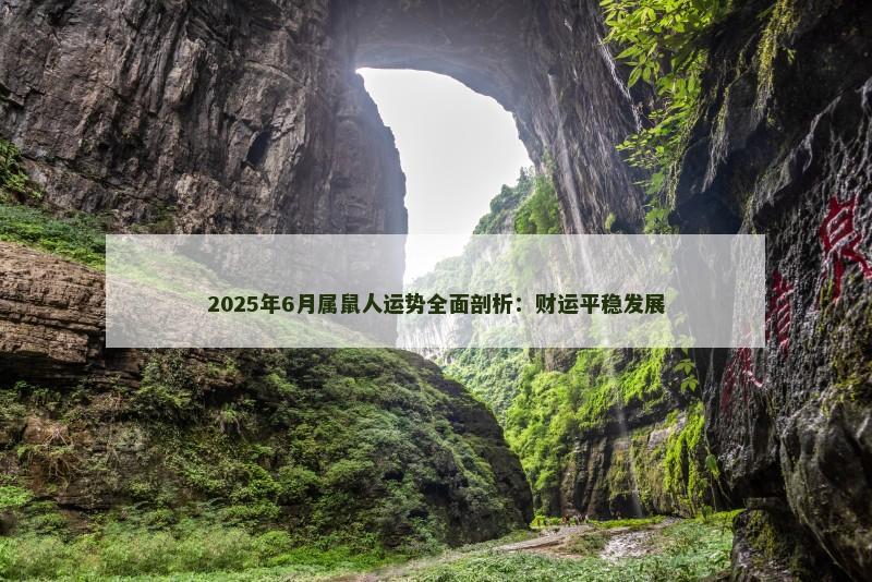 2025年6月属鼠人运势全面剖析：财运平稳发展