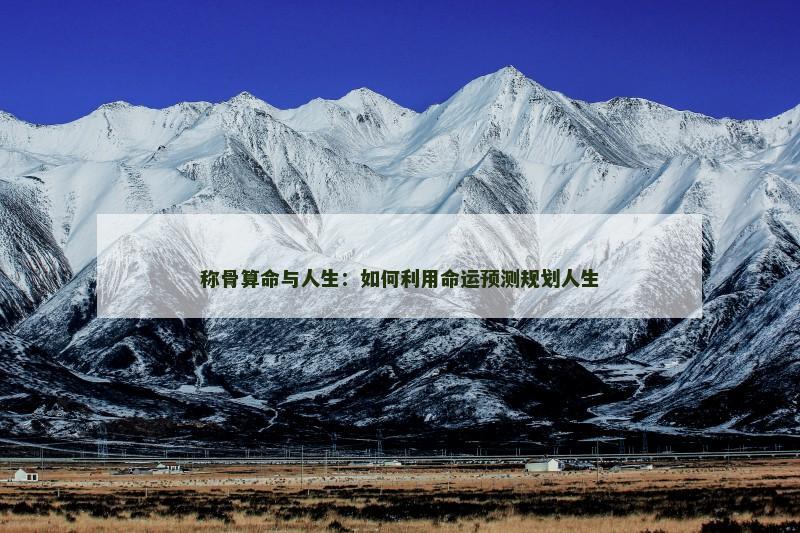 称骨算命与人生：如何利用命运预测规划人生
