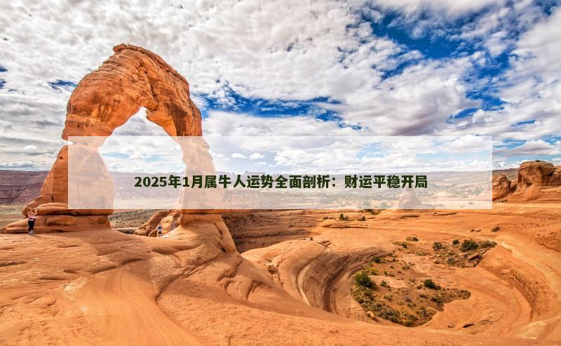 2025年1月属牛人运势全面剖析：财运平稳开局