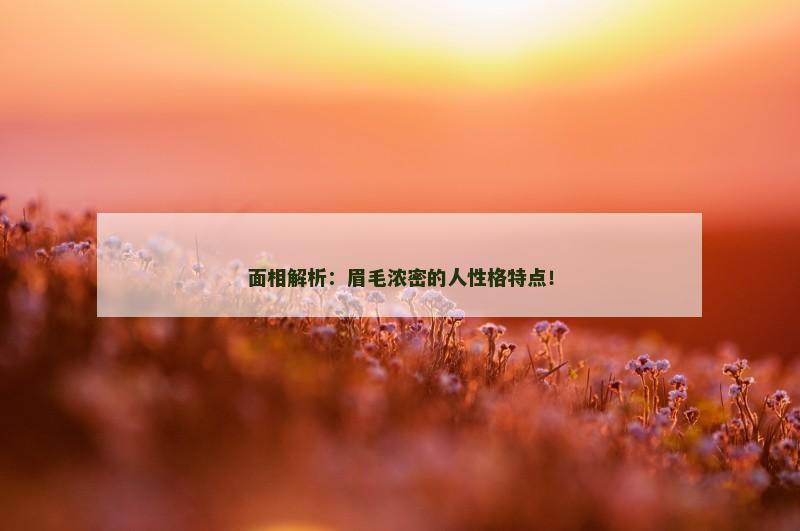 面相解析：眉毛浓密的人性格特点！