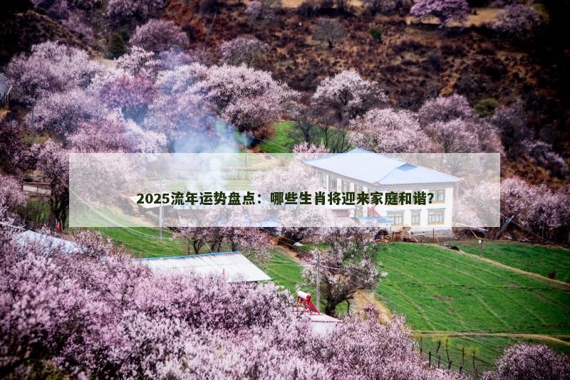 2025流年运势盘点：哪些生肖将迎来家庭和谐？