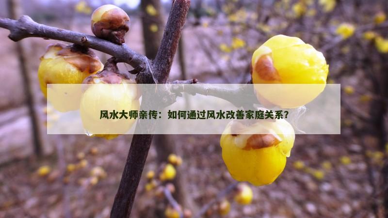 风水大师亲传：如何通过风水改善家庭关系？