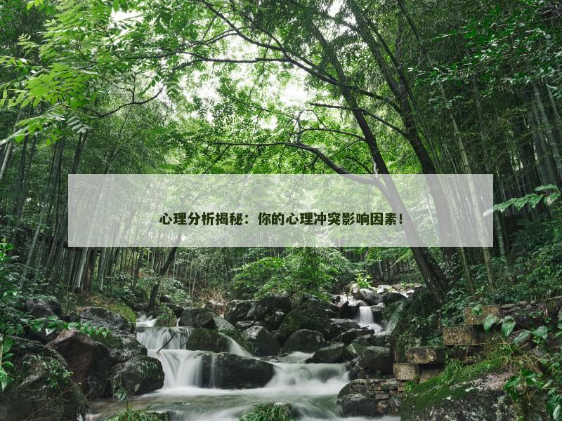 心理分析揭秘：你的心理冲突影响因素！