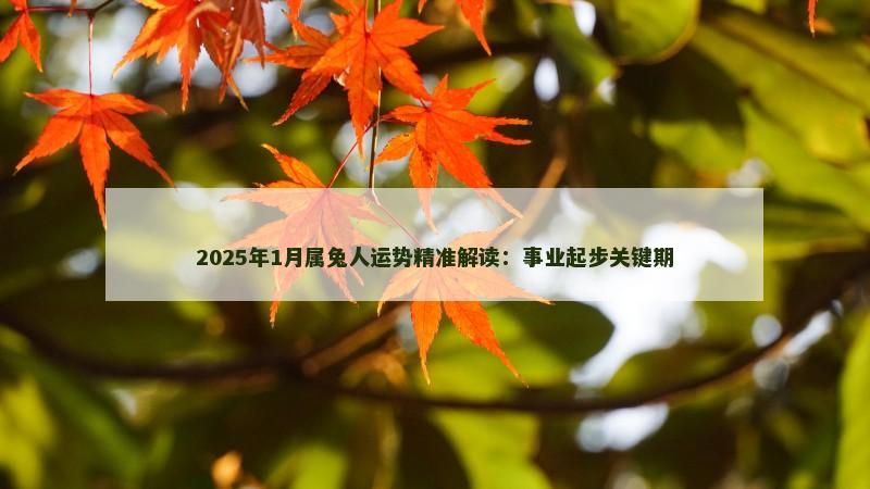2025年1月属兔人运势精准解读：事业起步关键期