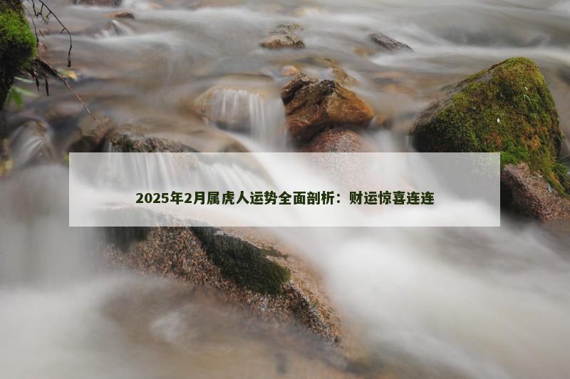 2025年2月属虎人运势全面剖析：财运惊喜连连