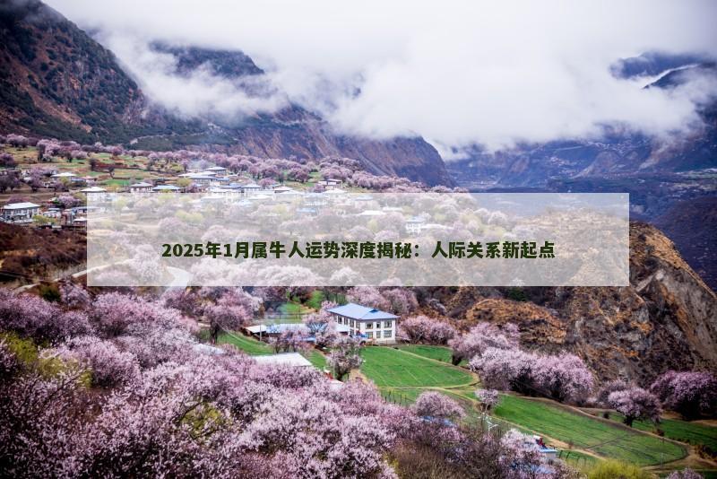 2025年1月属牛人运势深度揭秘：人际关系新起点