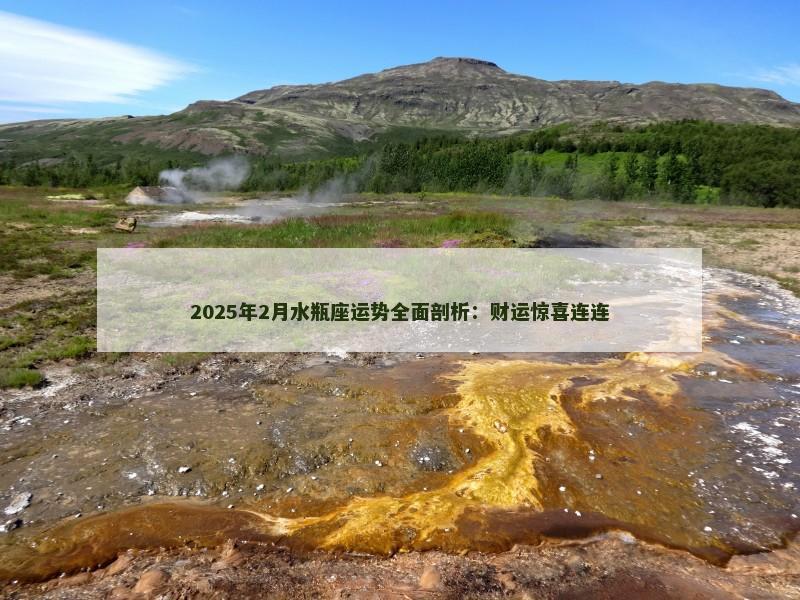 2025年2月水瓶座运势全面剖析：财运惊喜连连