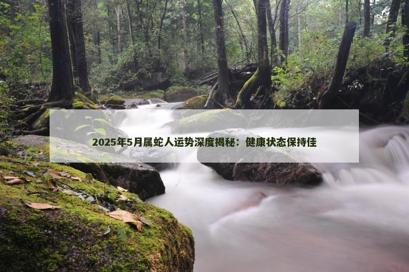 2025年5月属蛇人运势深度揭秘：健康状态保持佳