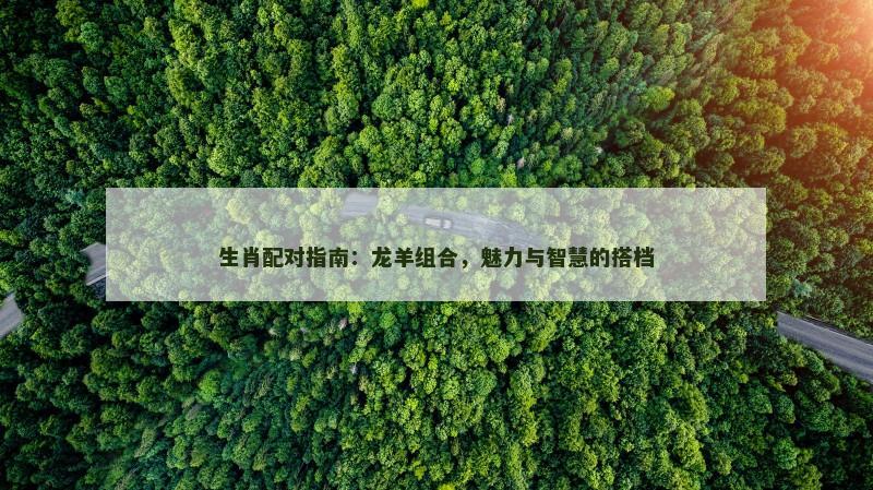 生肖配对指南：龙羊组合，魅力与智慧的搭档