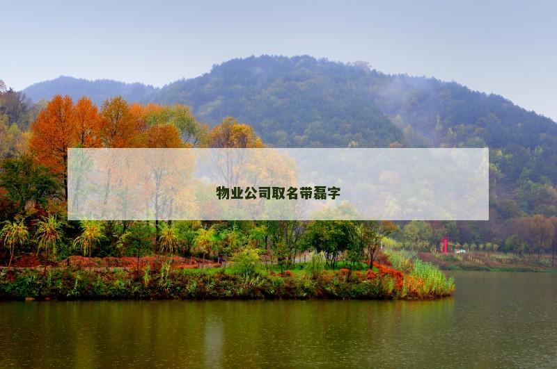 物业公司取名带磊字
