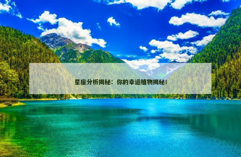 星座分析揭秘：你的幸运植物揭秘！