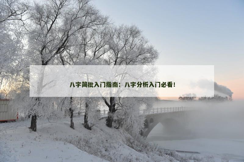 八字简批入门指南：八字分析入门必看！