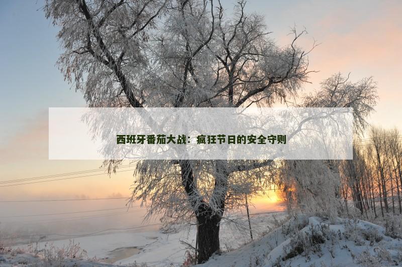 西班牙番茄大战：疯狂节日的安全守则