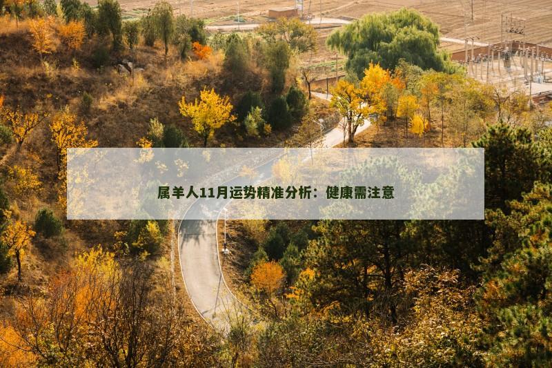 属羊人11月运势精准分析：健康需注意