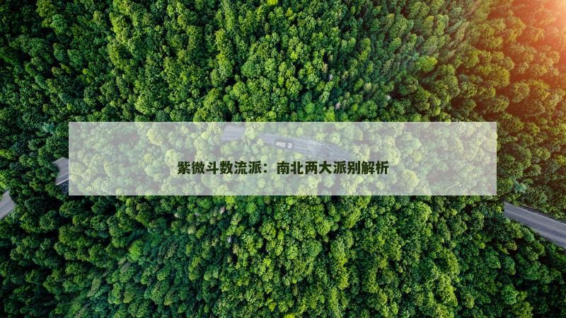 紫微斗数流派：南北两大派别解析