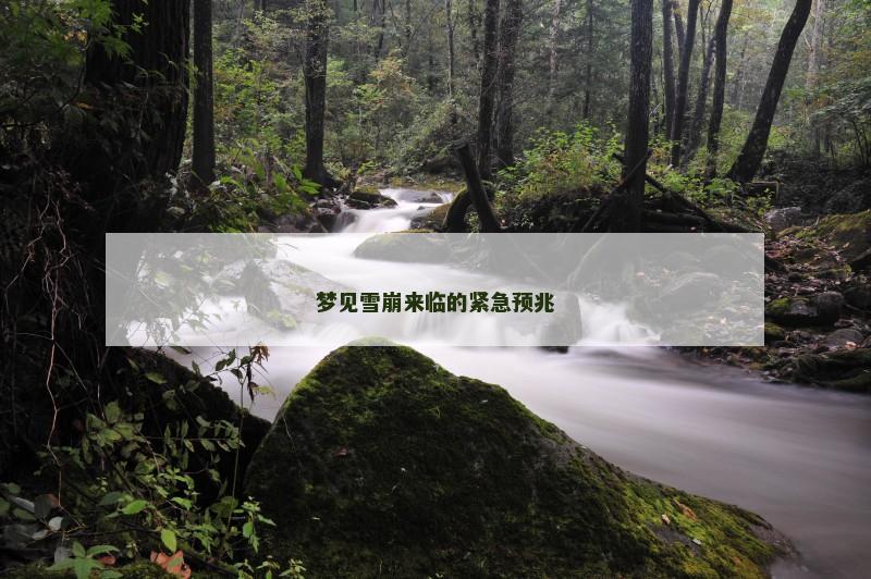 梦见雪崩来临的紧急预兆