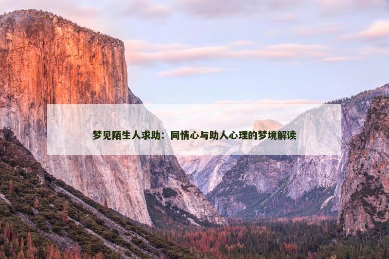 梦见陌生人求助：同情心与助人心理的梦境解读
