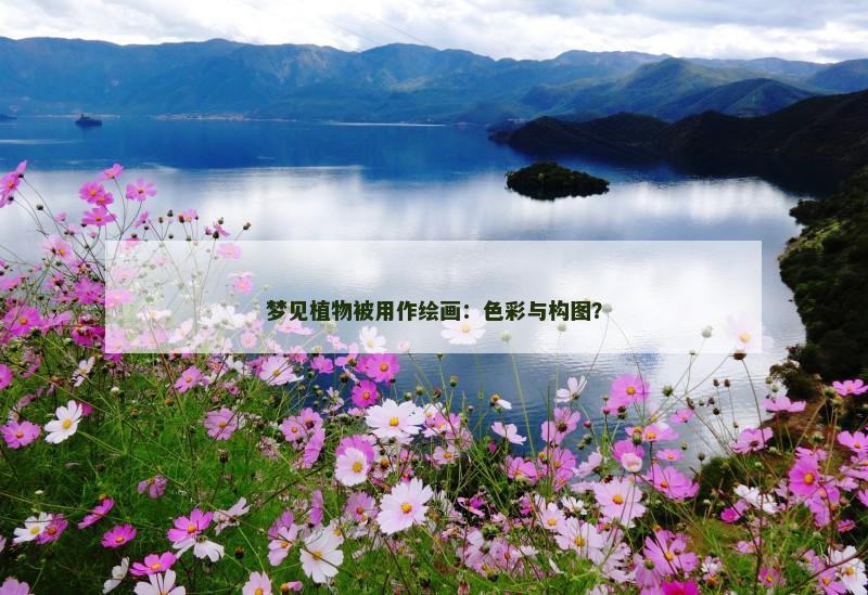 梦见植物被用作绘画：色彩与构图？