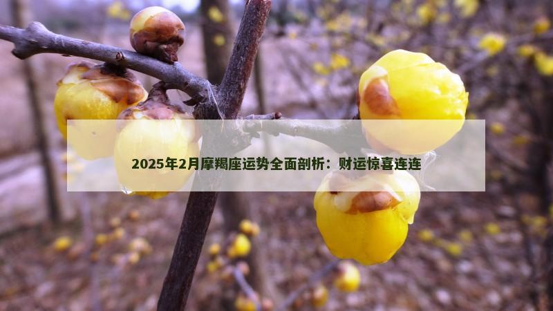 2025年2月摩羯座运势全面剖析：财运惊喜连连