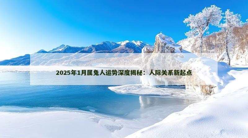 2025年1月属兔人运势深度揭秘：人际关系新起点
