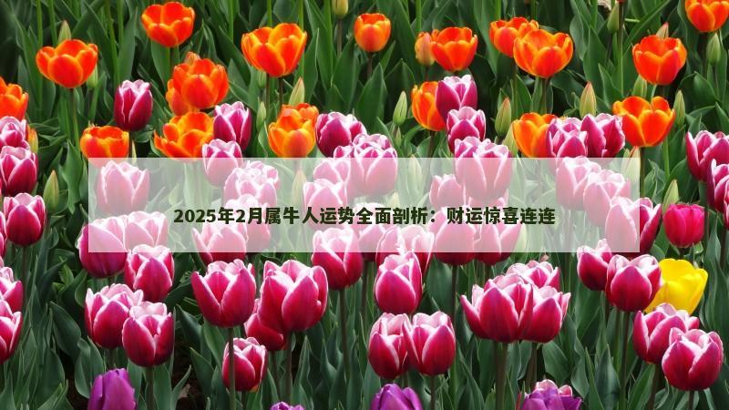 2025年2月属牛人运势全面剖析：财运惊喜连连