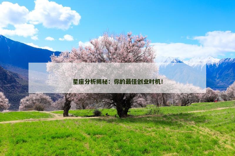 星座分析揭秘：你的最佳创业时机！