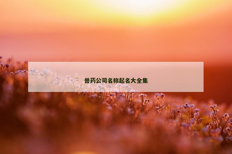 兽药公司名称起名大全集