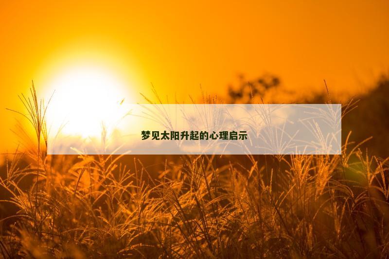 梦见太阳升起的心理启示