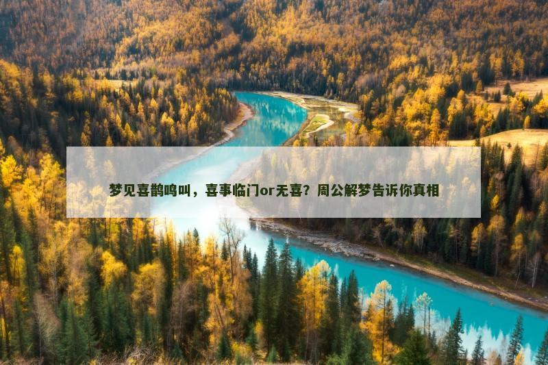 梦见喜鹊鸣叫，喜事临门or无喜？周公解梦告诉你真相
