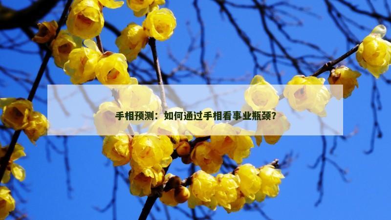 手相预测：如何通过手相看事业瓶颈？
