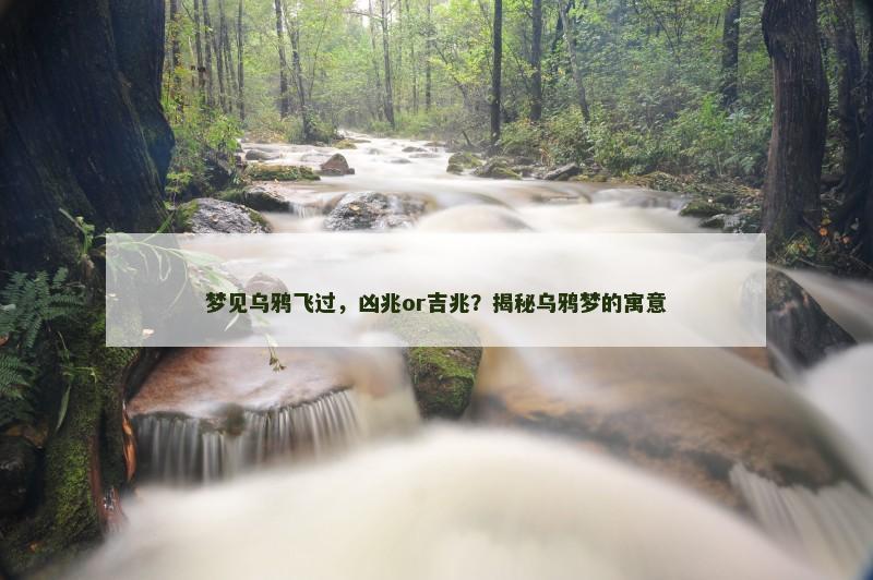 梦见乌鸦飞过，凶兆or吉兆？揭秘乌鸦梦的寓意