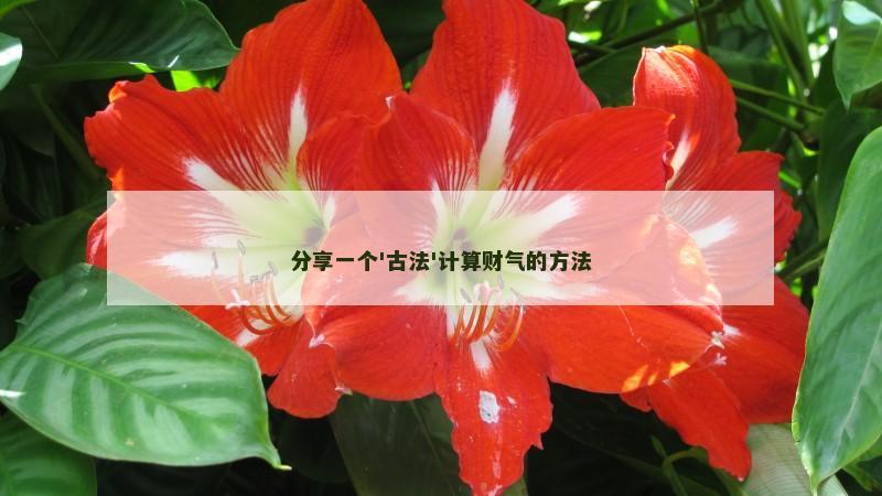 分享一个'古法'计算财气的方法