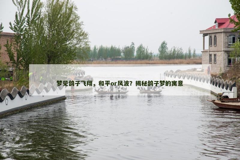 梦见鸽子飞翔，和平or风波？揭秘鸽子梦的寓意
