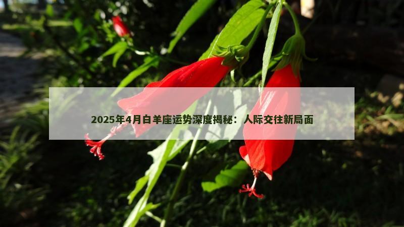 2025年4月白羊座运势深度揭秘：人际交往新局面