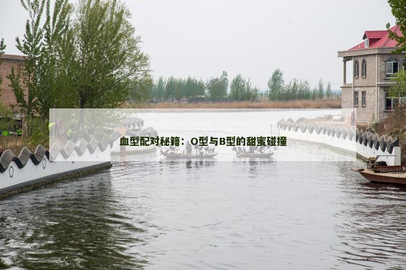 血型配对秘籍：O型与B型的甜蜜碰撞