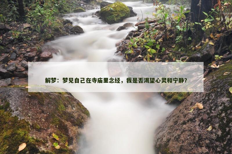 解梦：梦见自己在寺庙里念经，我是否渴望心灵和宁静？