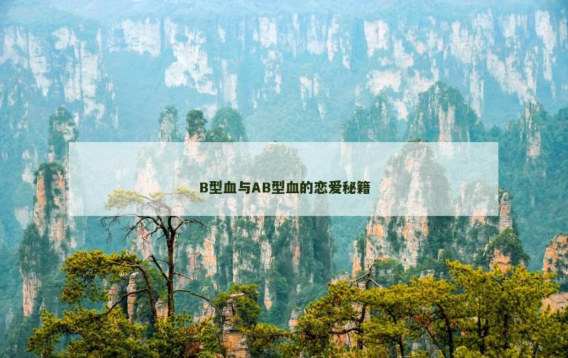 B型血与AB型血的恋爱秘籍