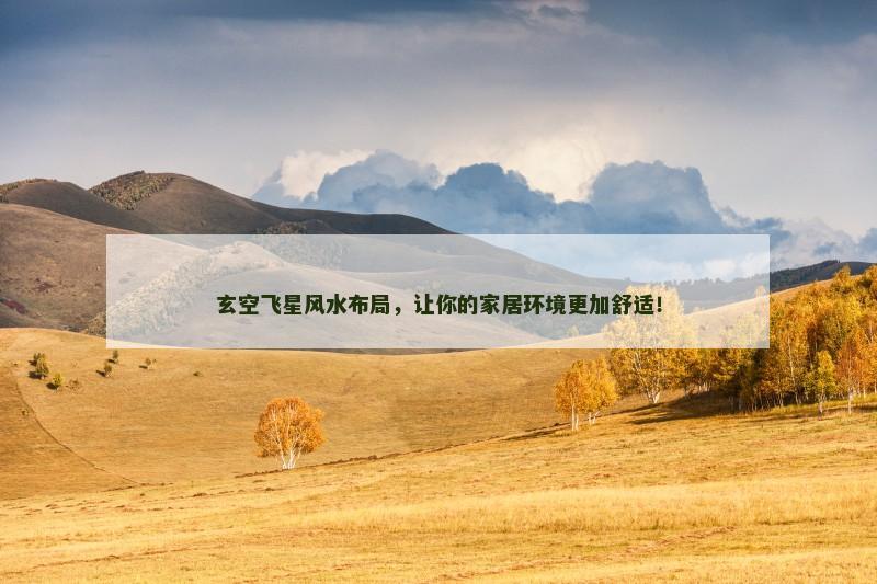 玄空飞星风水布局，让你的家居环境更加舒适！