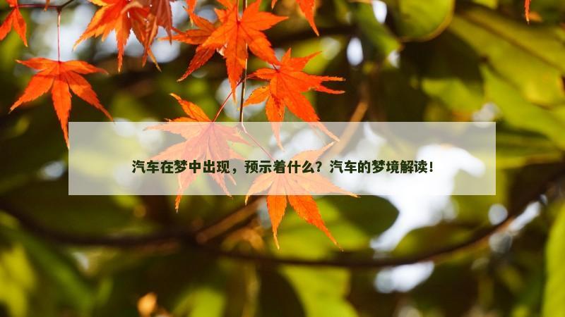 汽车在梦中出现，预示着什么？汽车的梦境解读！