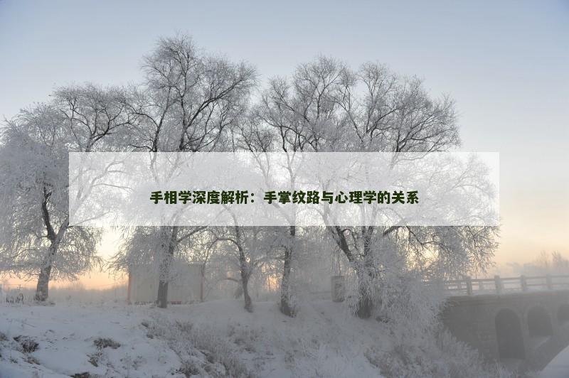 手相学深度解析：手掌纹路与心理学的关系