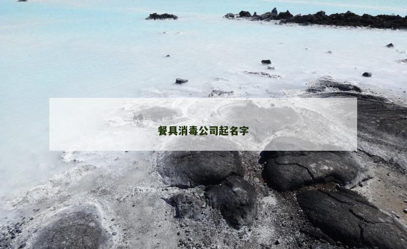 餐具消毒公司起名字