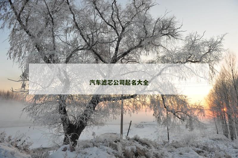 汽车滤芯公司起名大全