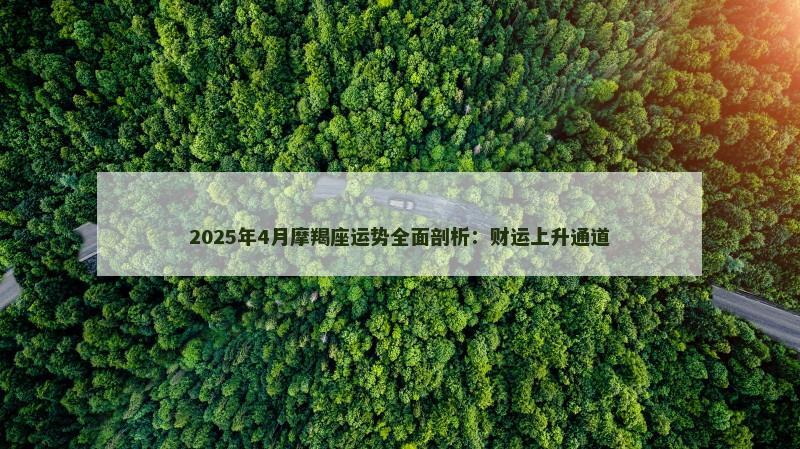 2025年4月摩羯座运势全面剖析：财运上升通道