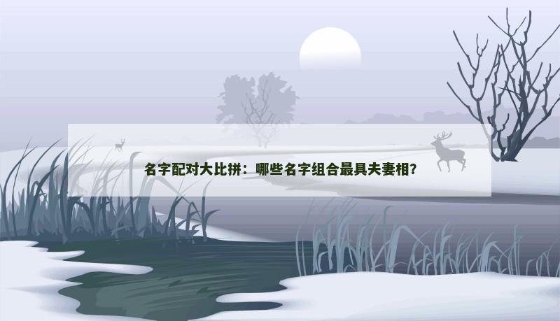名字配对大比拼：哪些名字组合最具夫妻相？