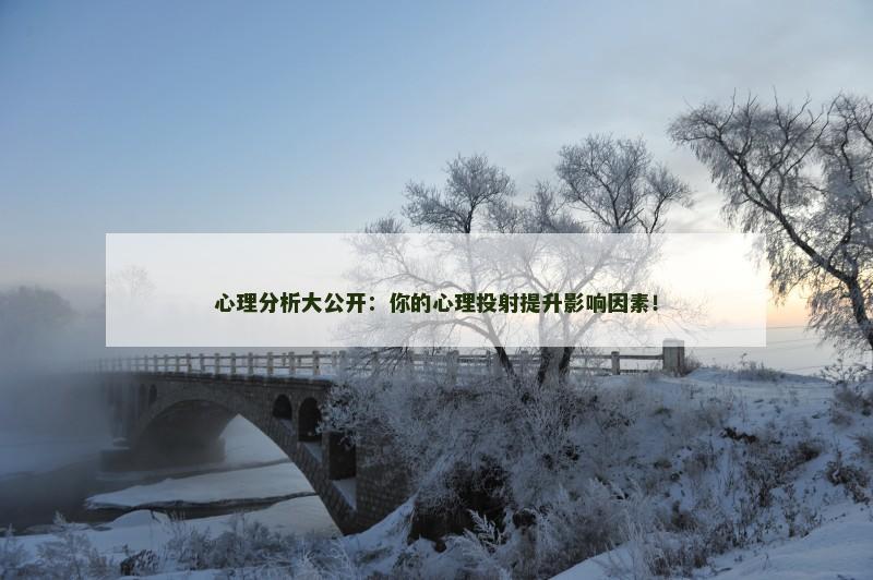 心理分析大公开：你的心理投射提升影响因素！