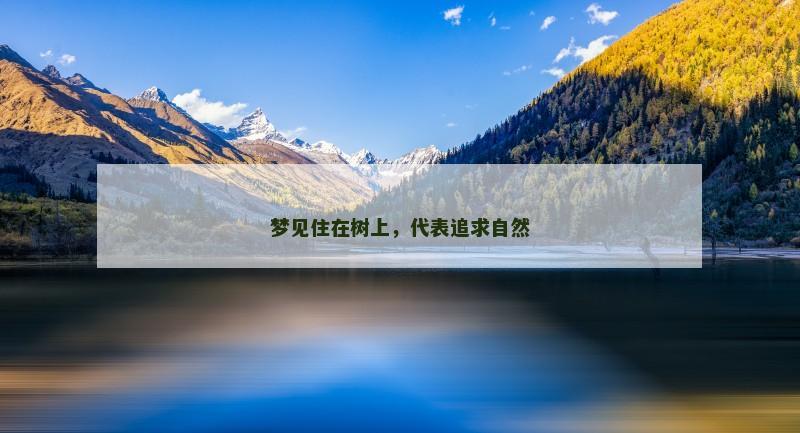梦见住在树上，代表追求自然