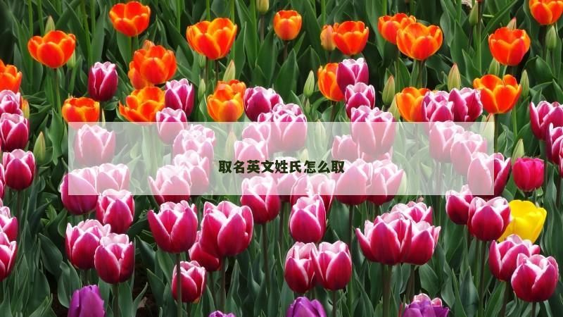 取名英文姓氏怎么取